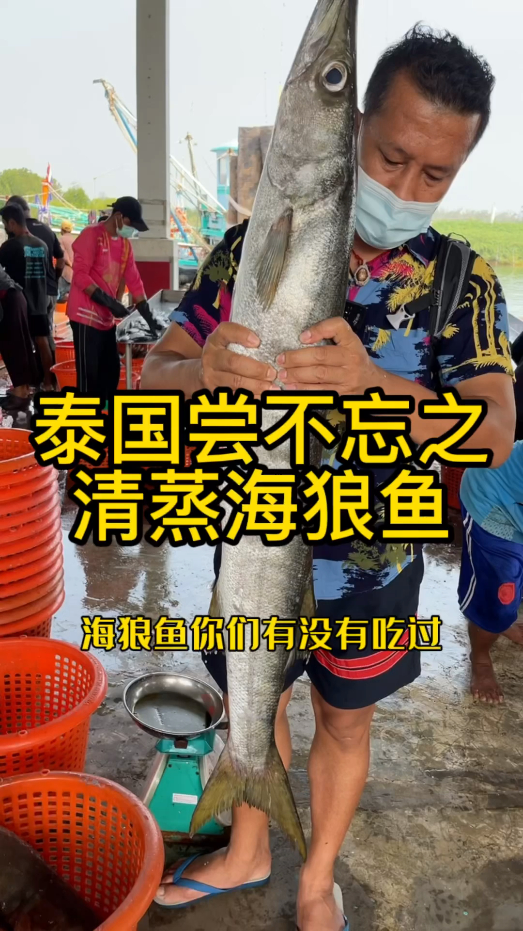 泰国尝不忘之清蒸海狼鱼