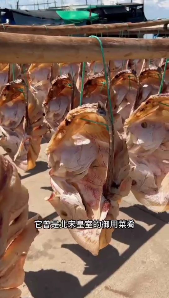 海南特产红鱼干