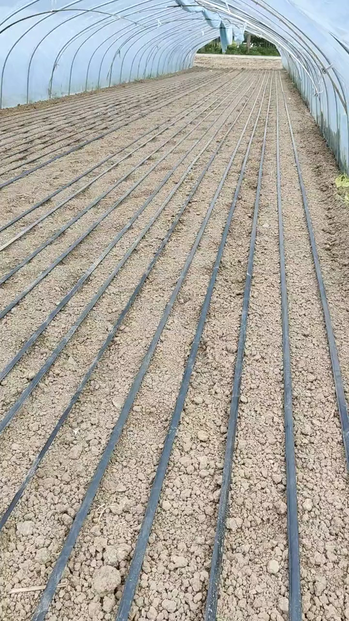 #破壳计划#大棚蔬菜种植使用滴灌带安装方法视频