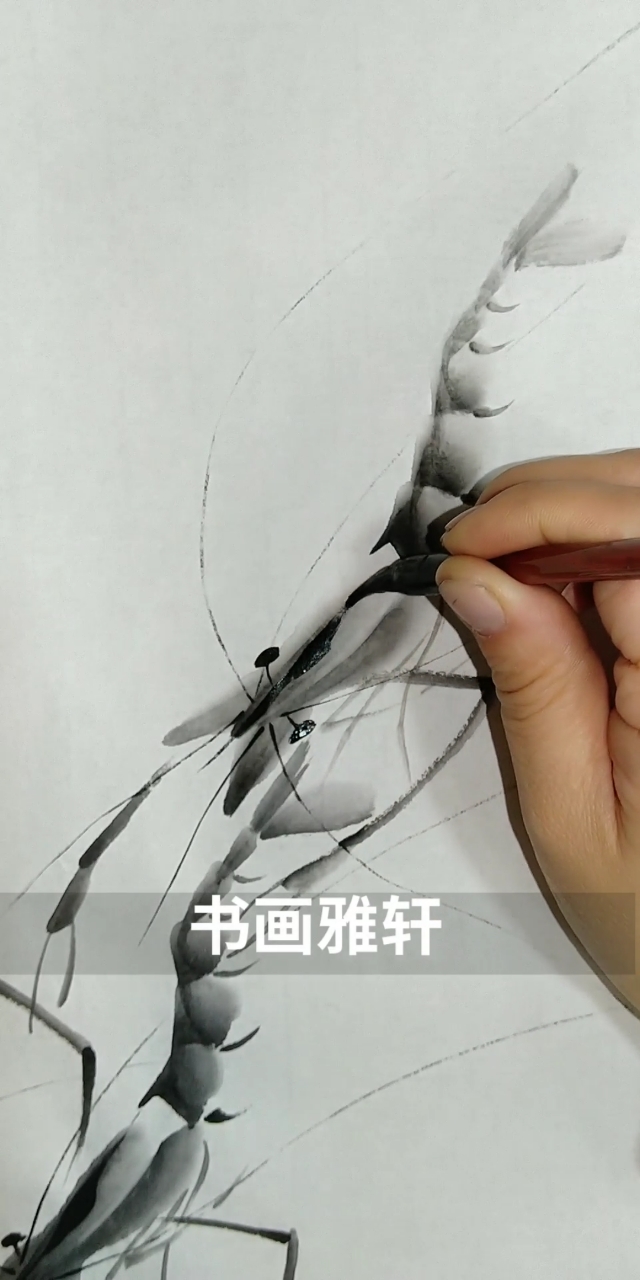 #中国画#画第三只虾
