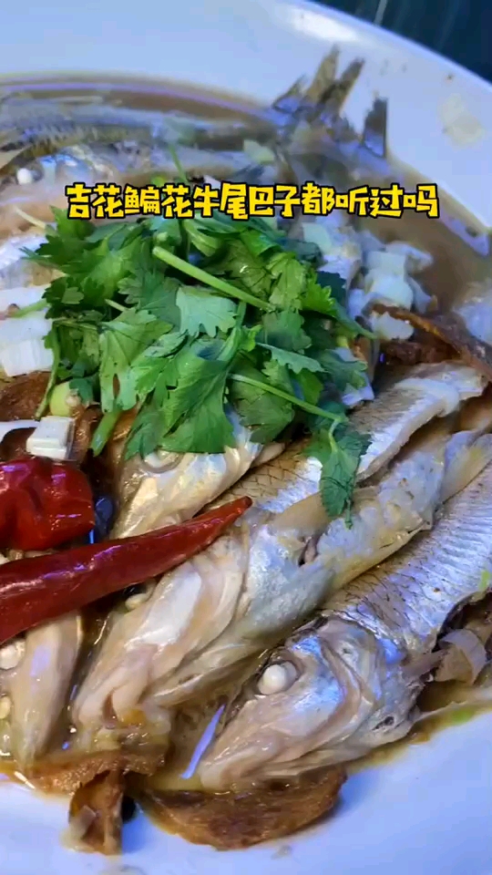 #深夜放毒##吉食已到#吉林请你出道开了近20年的老店,松花江嫩江三花五罗全都吃的到
