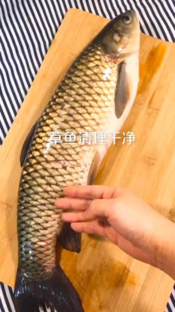 炖鱼