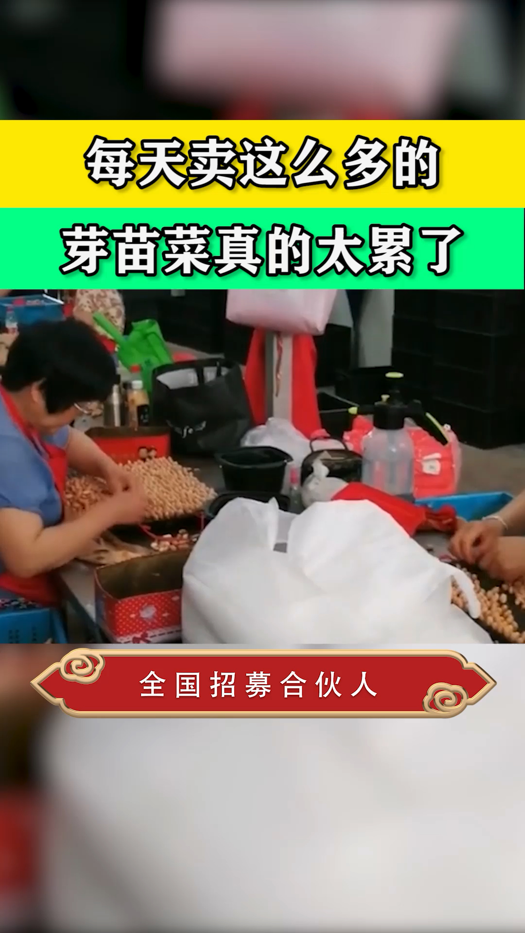 每天卖这么多芽苗菜,真的太累了……