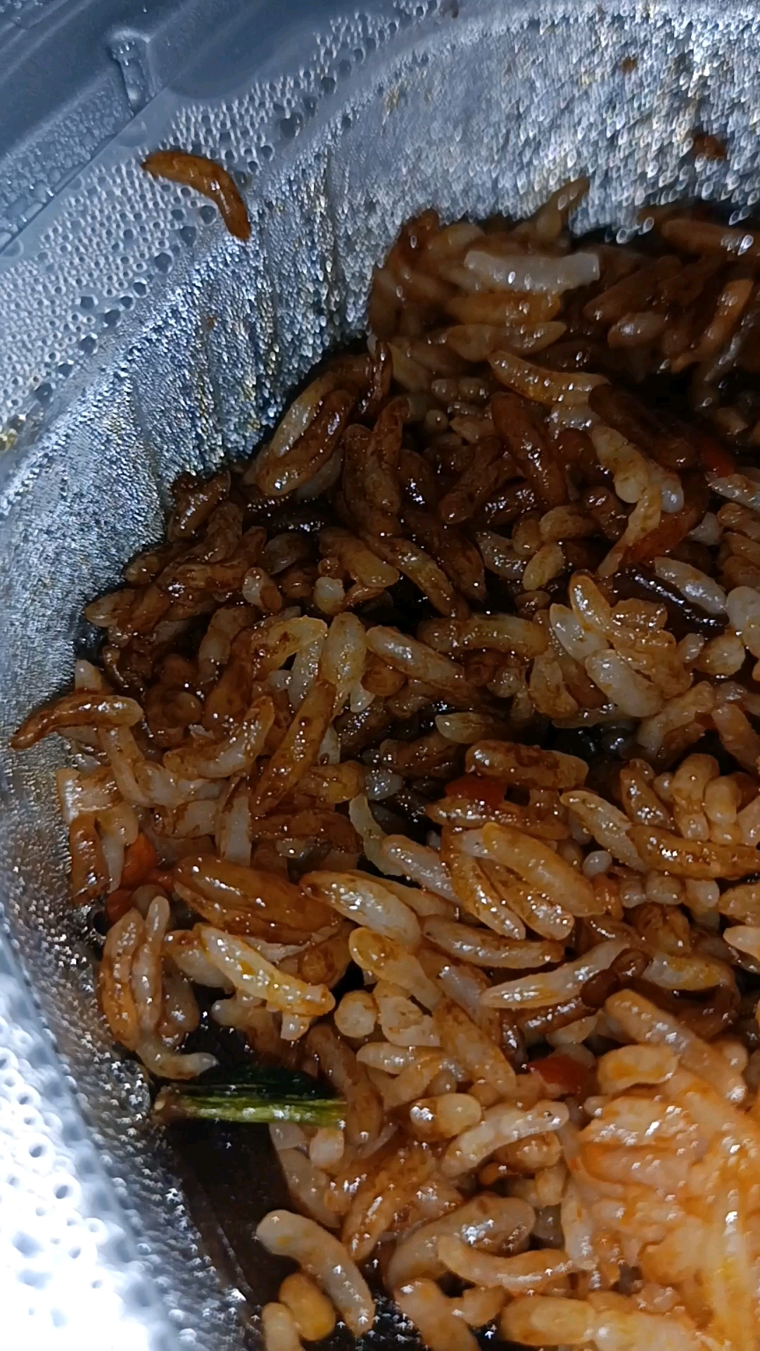 懒人的福利,鱼香肉丝饭,15分钟即可