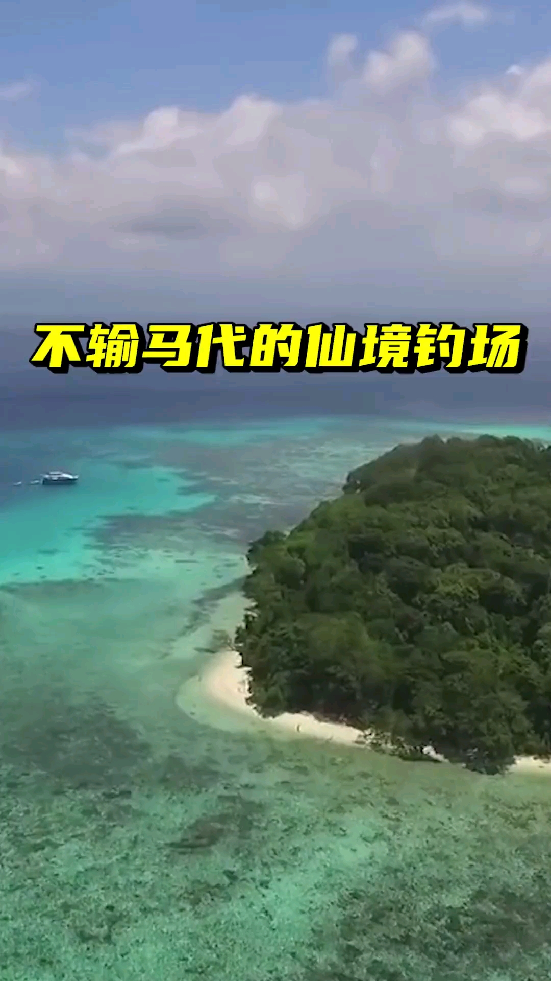 可爱的拿破仑鱼!