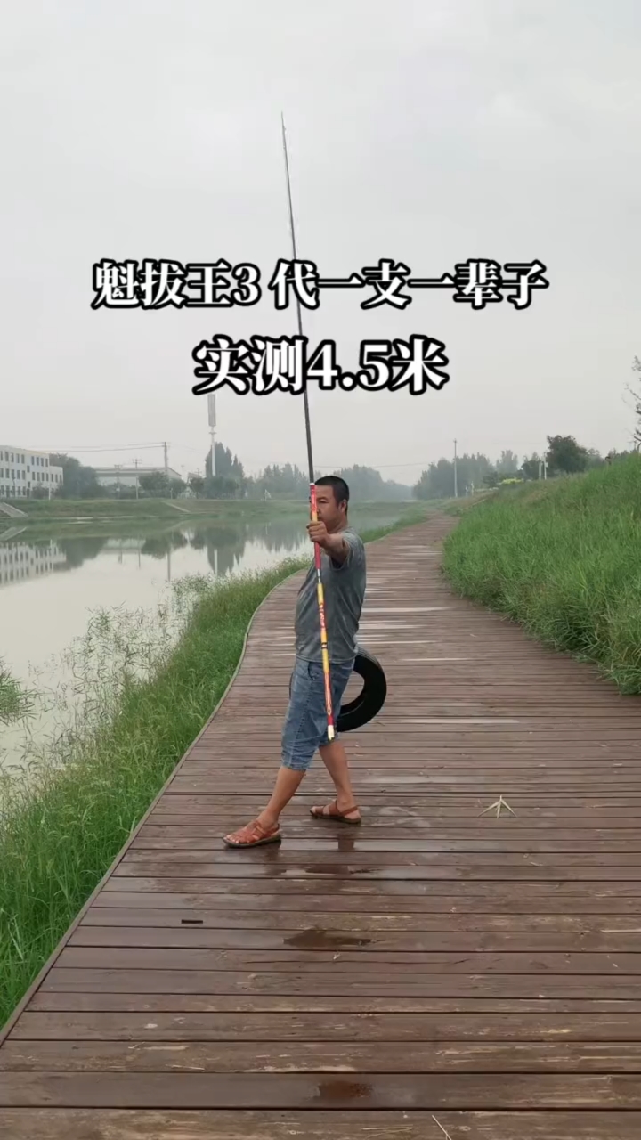 高碳大物钢筋鱼竿测试一下调重