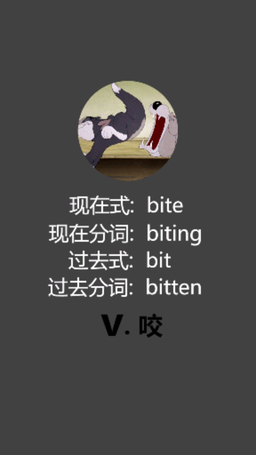 #英语单词#一起看猫和老鼠学单词bite