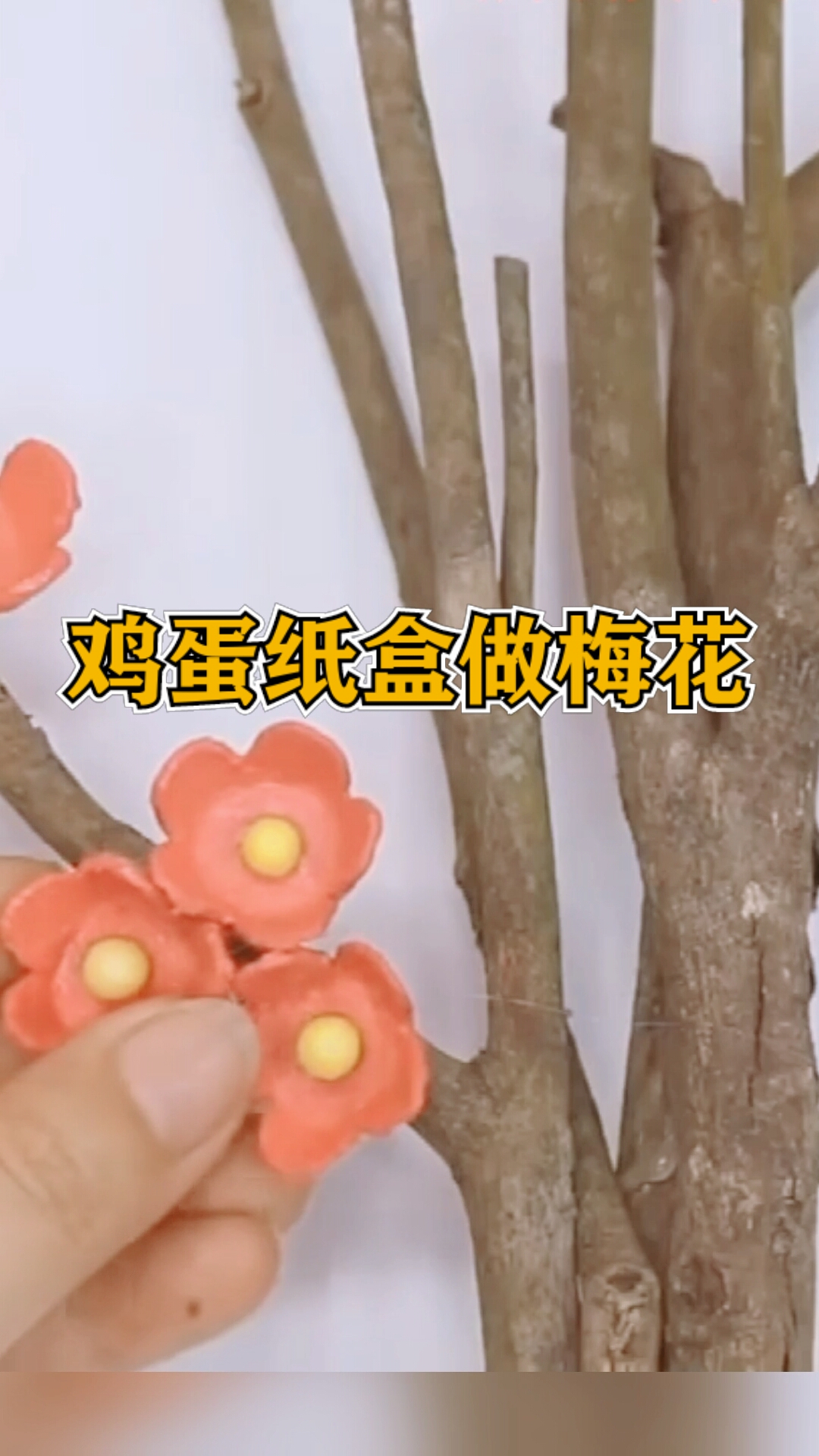 #我的奋斗人生#把装鸡蛋的纸盒做成梅花,搭配木枝好看吧!
