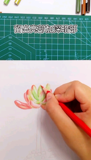 绘画:可爱的多肉呀,看用了多少颜色