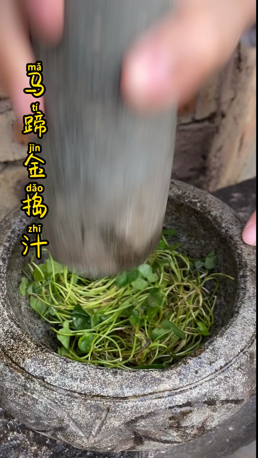 土楼大山里的凉草汤,你喝过吗?