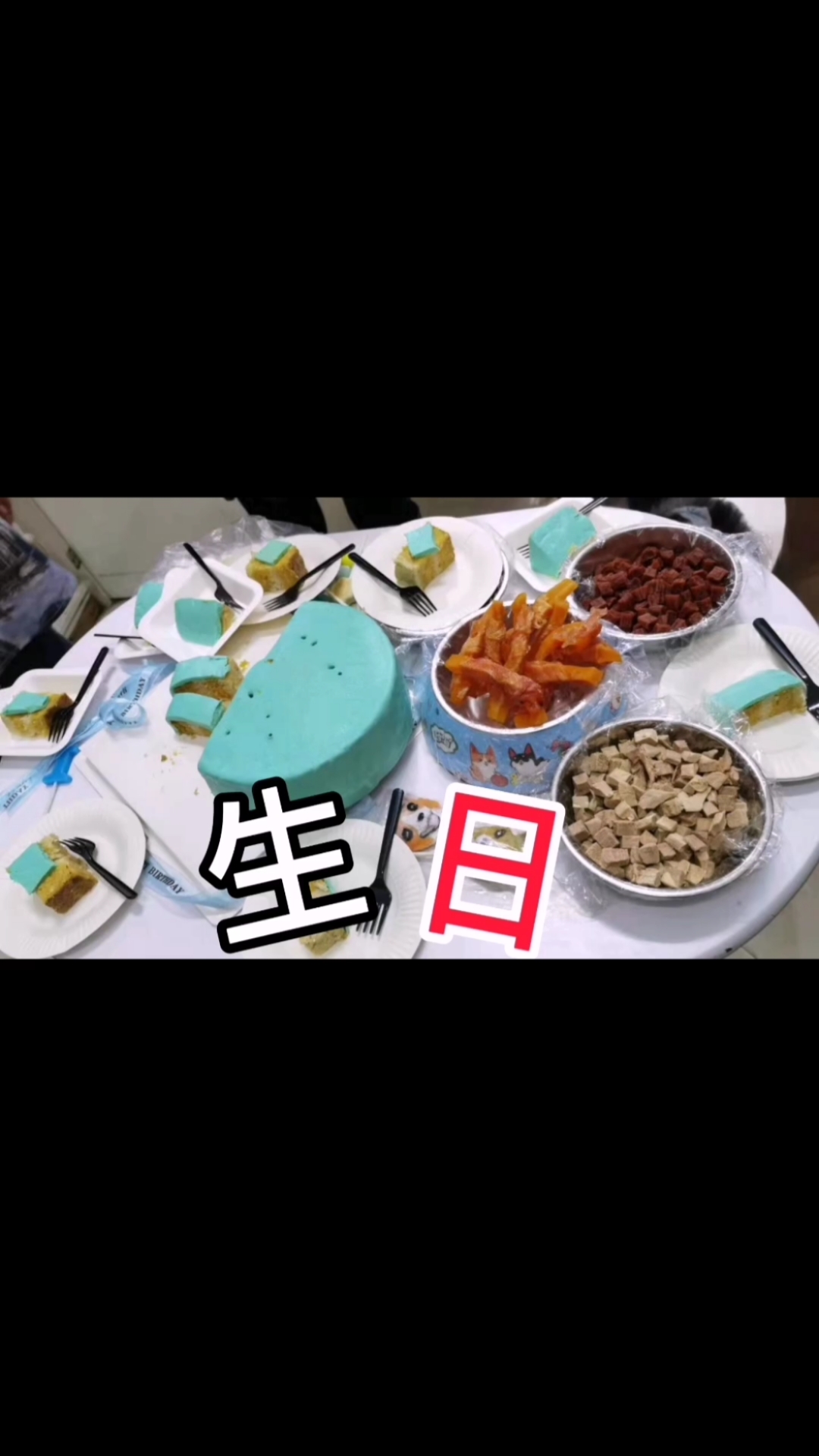#家有萌宠#柯基球球过生日,切蛋糕给大伙吃,都是公狗它居然对富贵做出这种事情,让人大跌眼镜