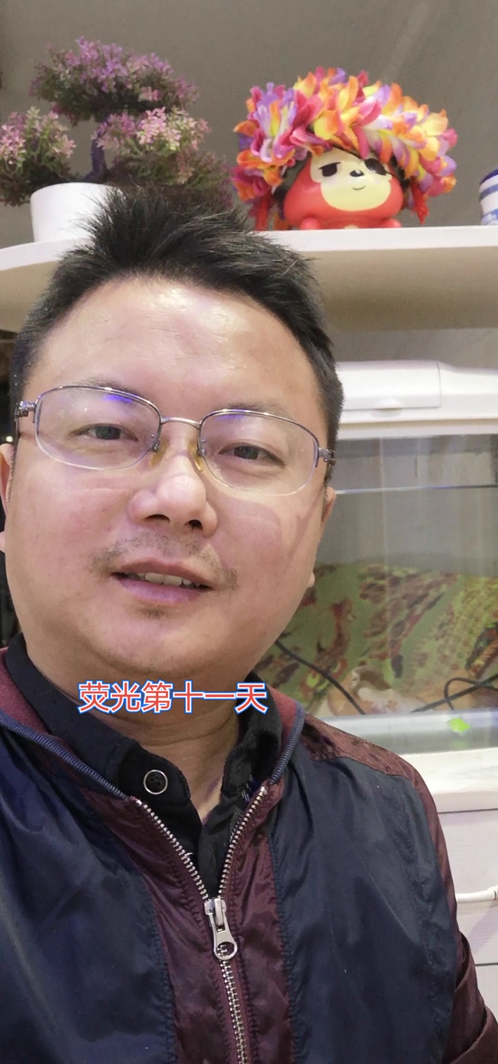 午夜的荧光鱼也休息了,可体色还是那么的艳,那么的透亮,大家喜欢吗?