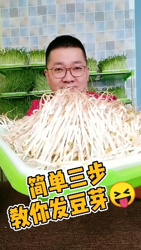 #种菜#简单三步教你发豆芽