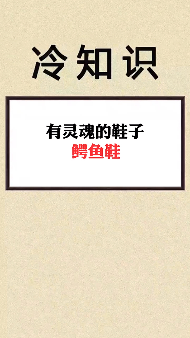 冷知识。有灵魂的鞋子鳄鱼鞋