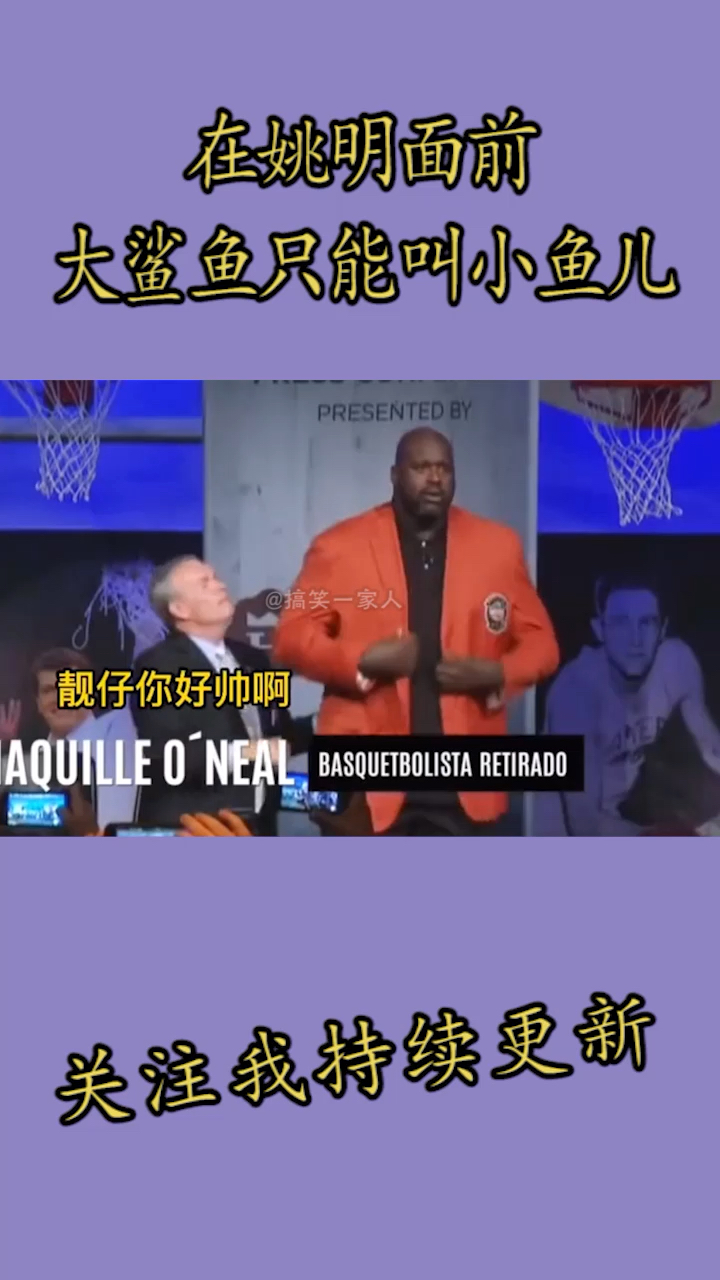 在玩命面前,大鲨鱼只能叫小鱼儿