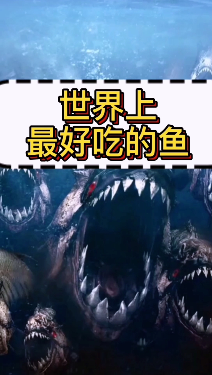 #奇闻趣事抢先看#世界上最好吃的鱼,竟然是食人鱼。