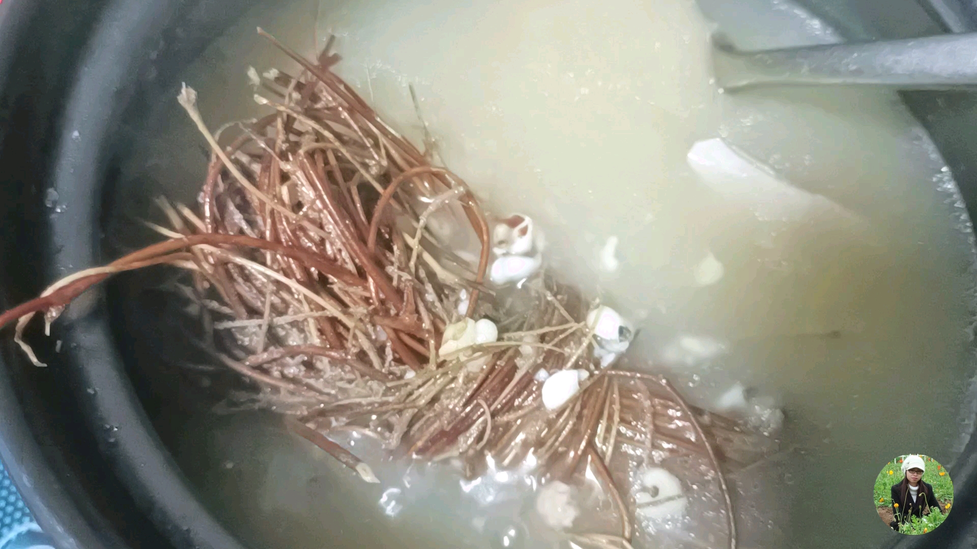 #自制美食#鸡骨草薏米汤,清热祛湿,简单又好喝