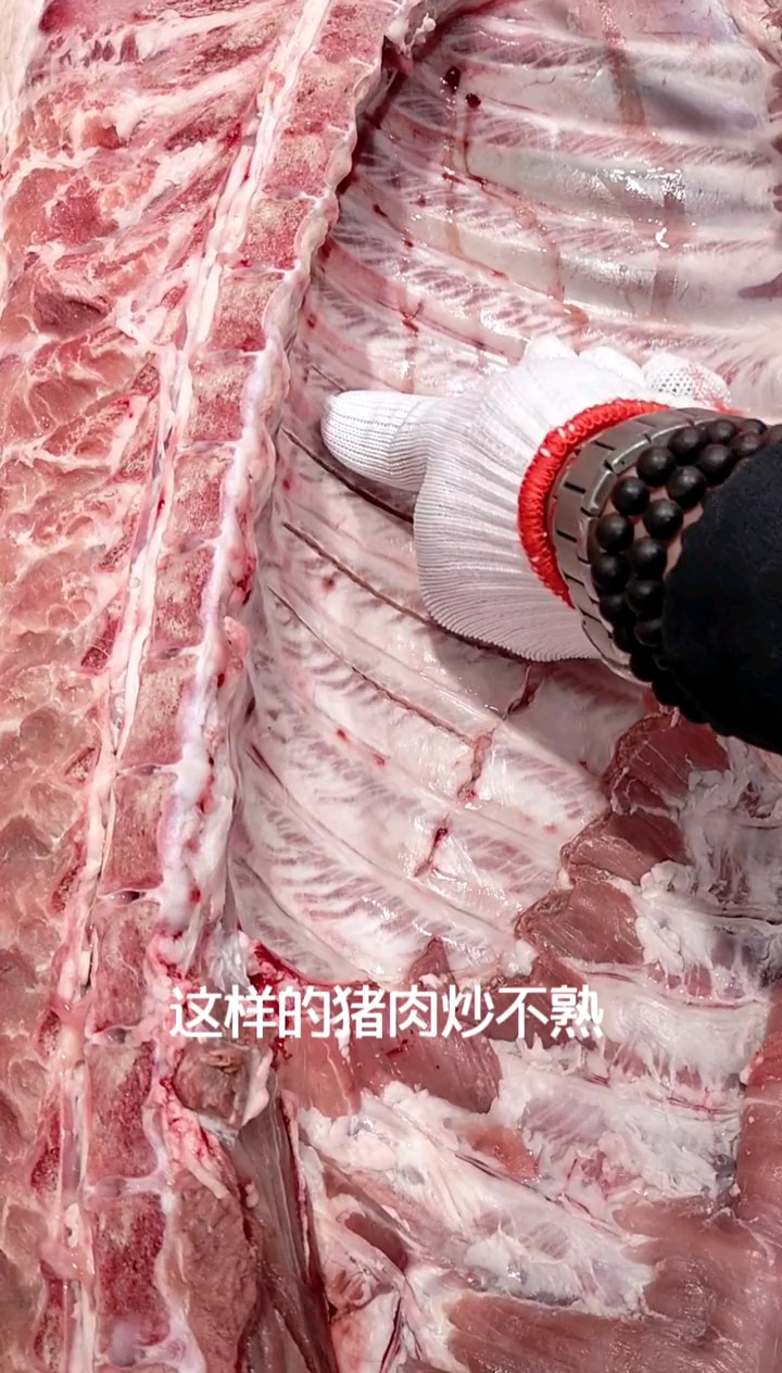 #我要上热门#怎样区分好猪肉和母猪肉公猪肉!谢谢观看