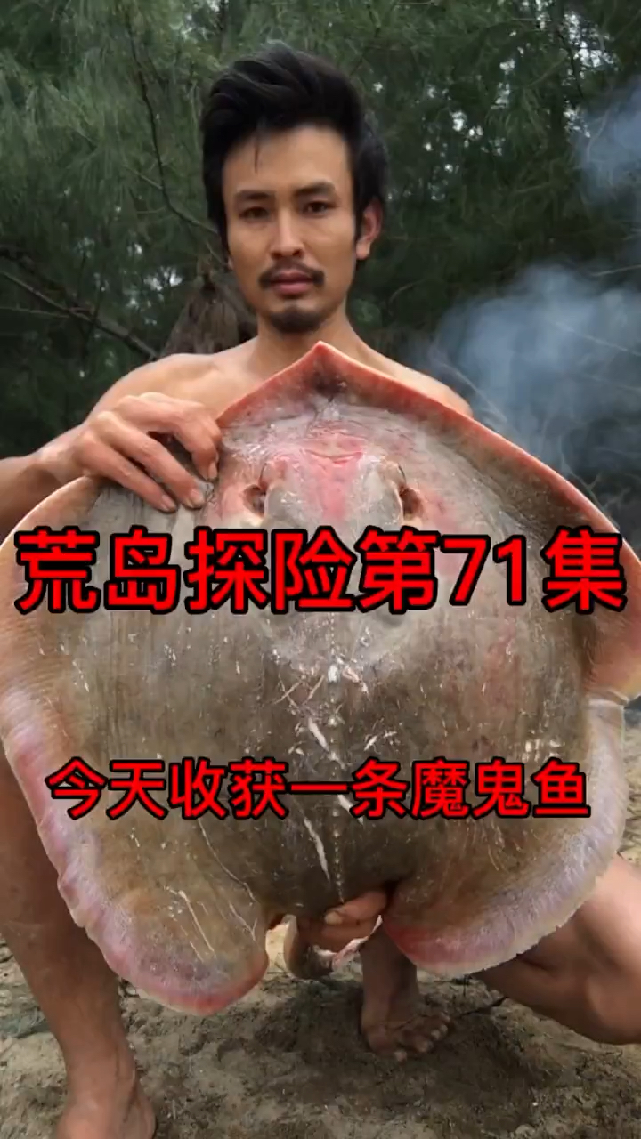 #野外生存#荒岛求生-野外生存-Day71