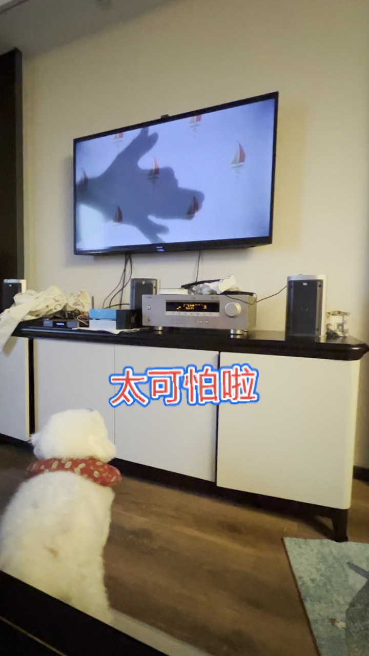 #搞笑萌宠#不好好看电影,把我吓一大跳!