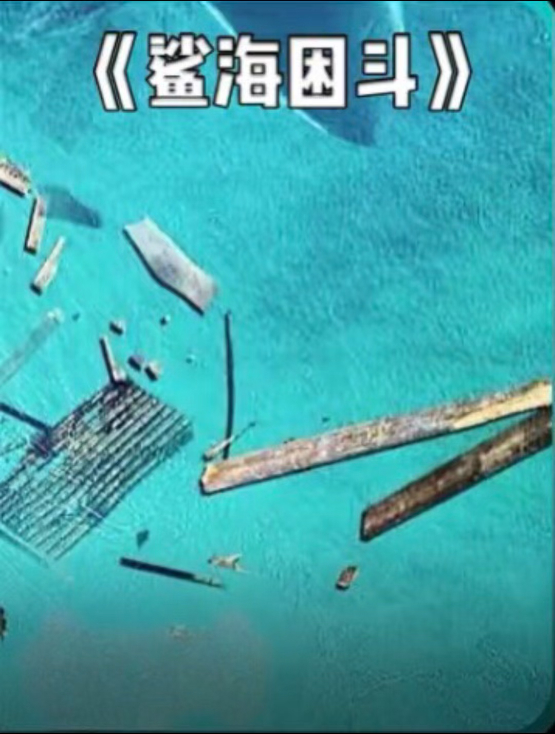 #精彩影视#2022最新惊悚电影,孤男寡女硬刚大鲨鱼《3/3》