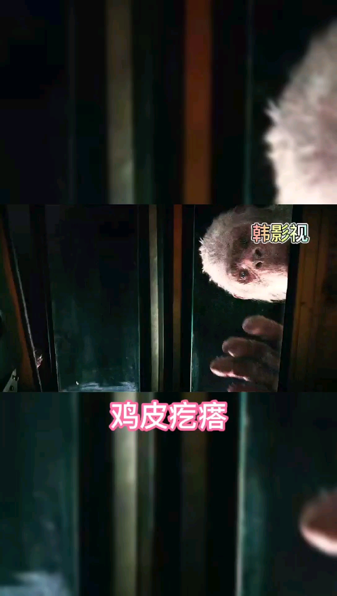 #好看电影#鸡皮疙瘩