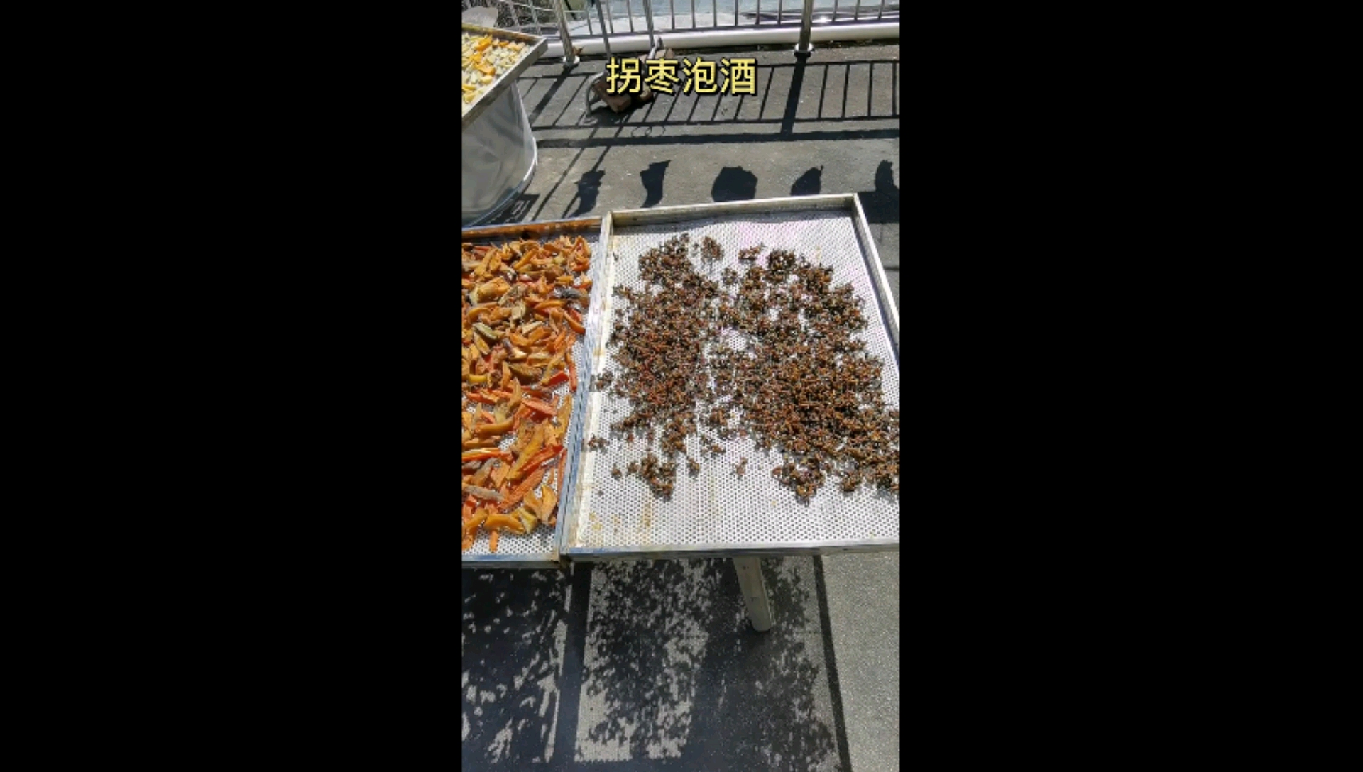 #舌尖上的乡村美食#拐枣泡酒!功效太多就不说了,反正就是好!