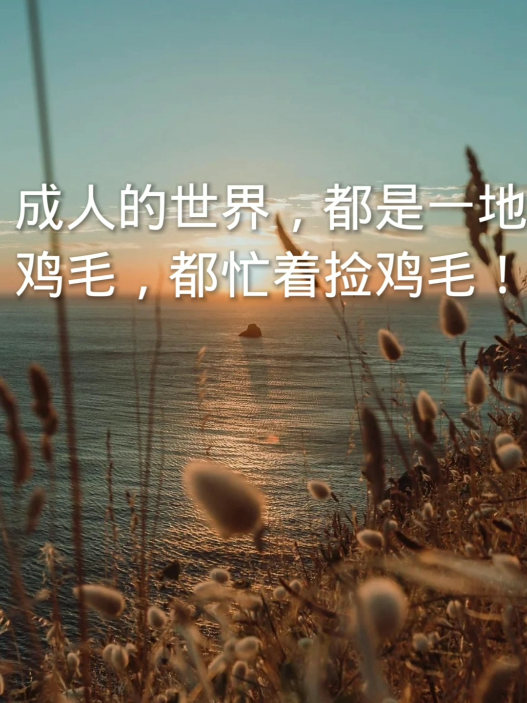 #我的奋斗人生#成人的世界,都是忙着捡鸡毛!