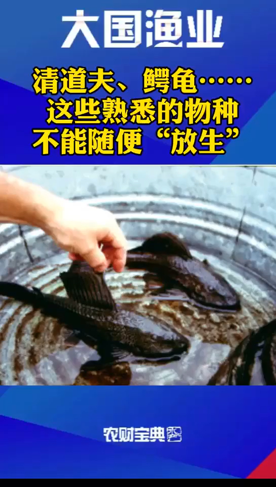 #爱护动物#放生有三大禁忌:定期,定地,定物,则是促人多捕矣!