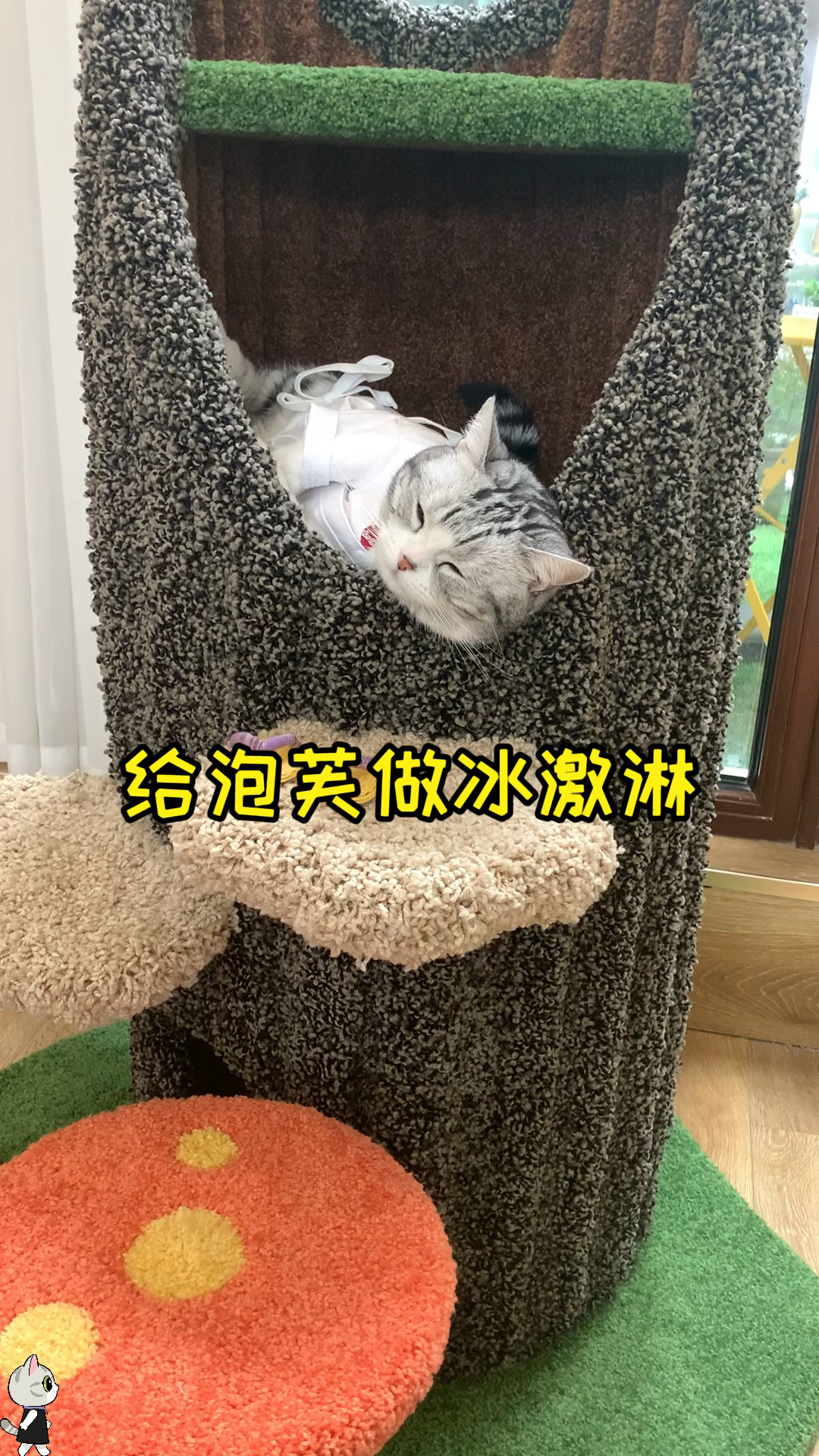 #猫咪日记#夏天需要冰激淋还需要你哦