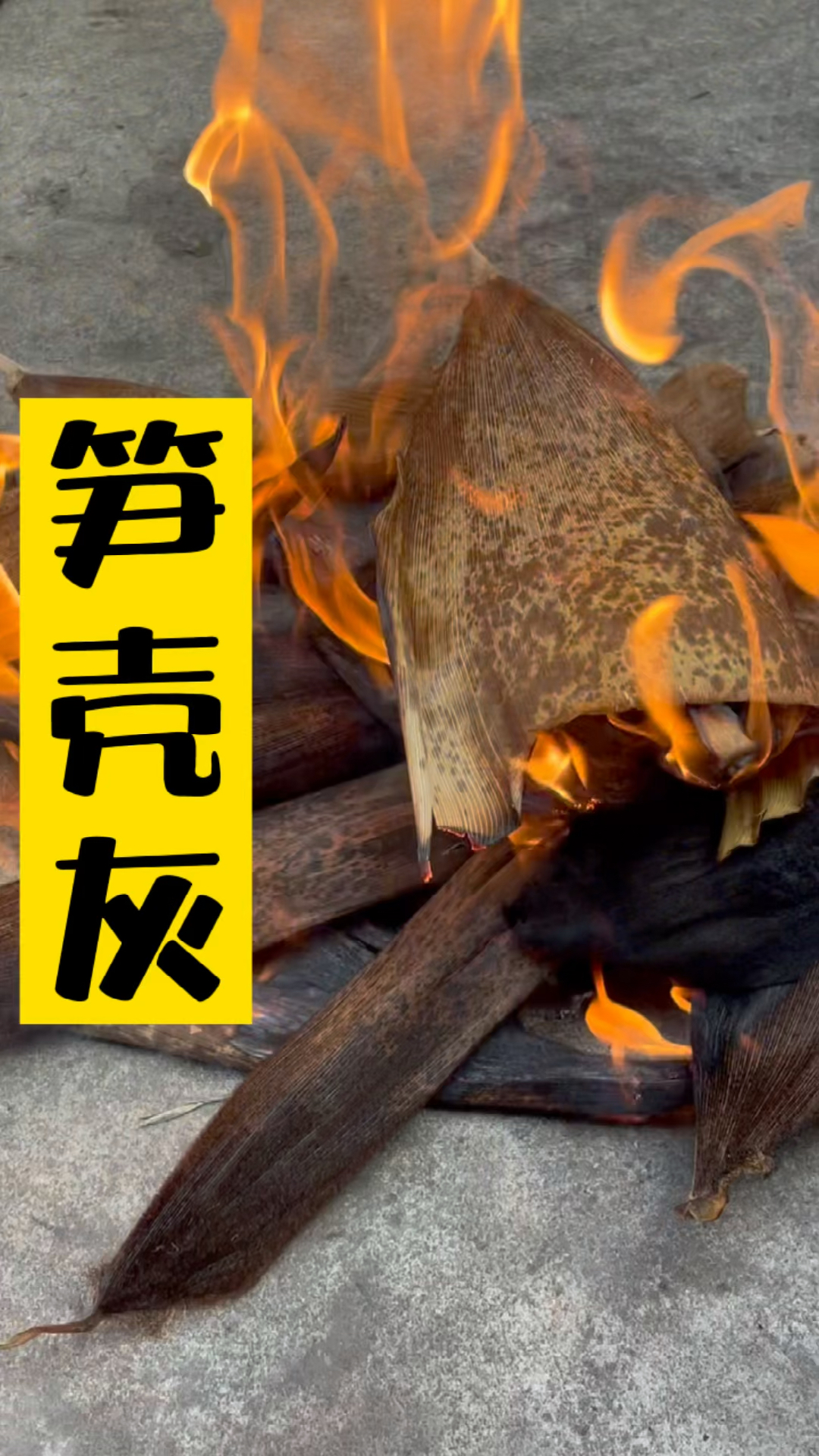 竹笋壳被我烧成灰了,这下鱼鳞痣怕了