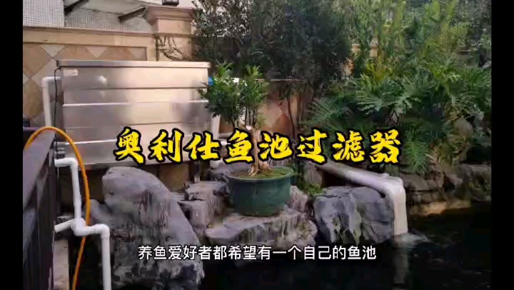 #锦鲤鱼池过滤系统#庭院鱼池建造的几点体会