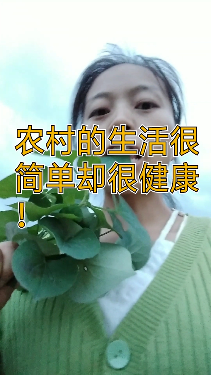 折耳根叶这样吃很开胃,农村的生活很简单却很健康!