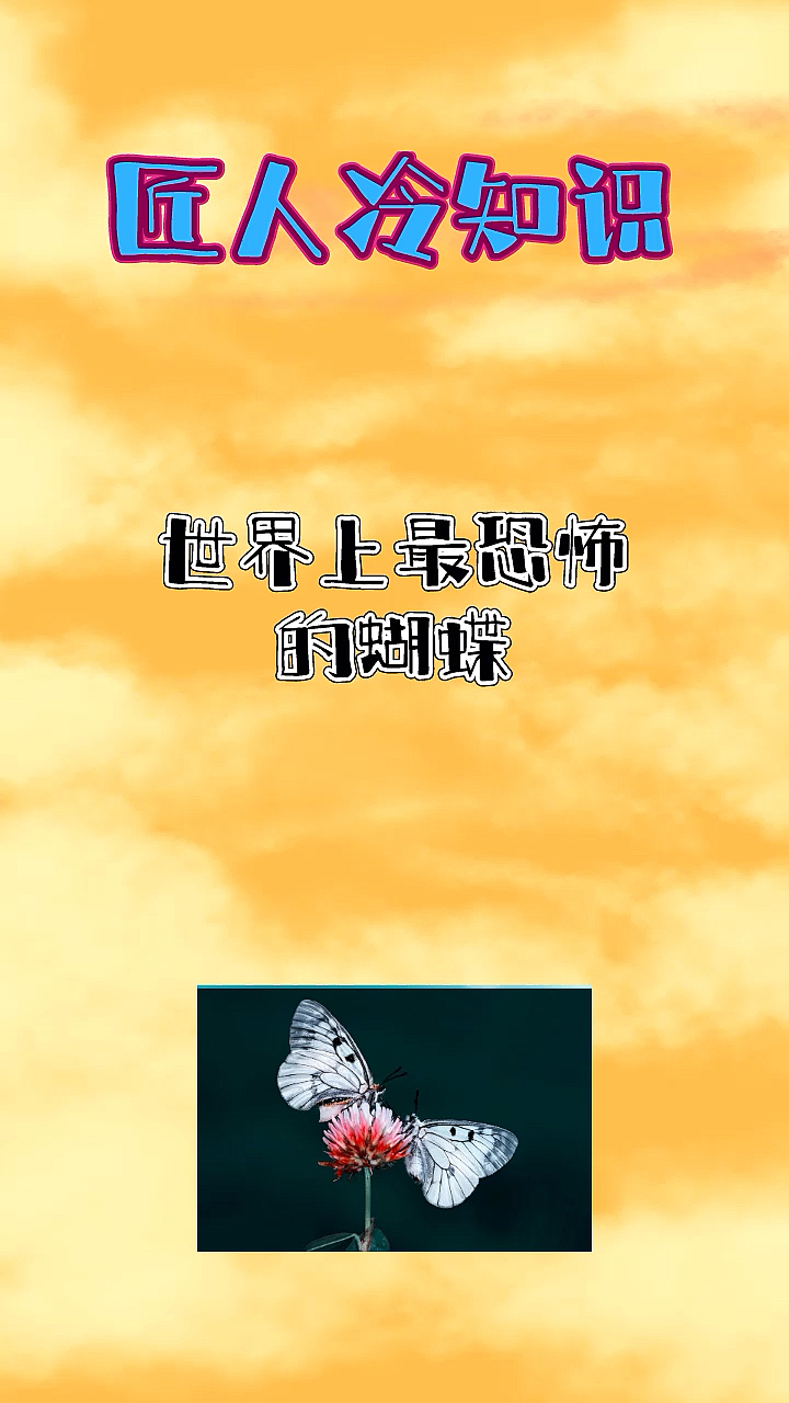 #每天一点冷知识#世界上最恐怖的蝴蝶