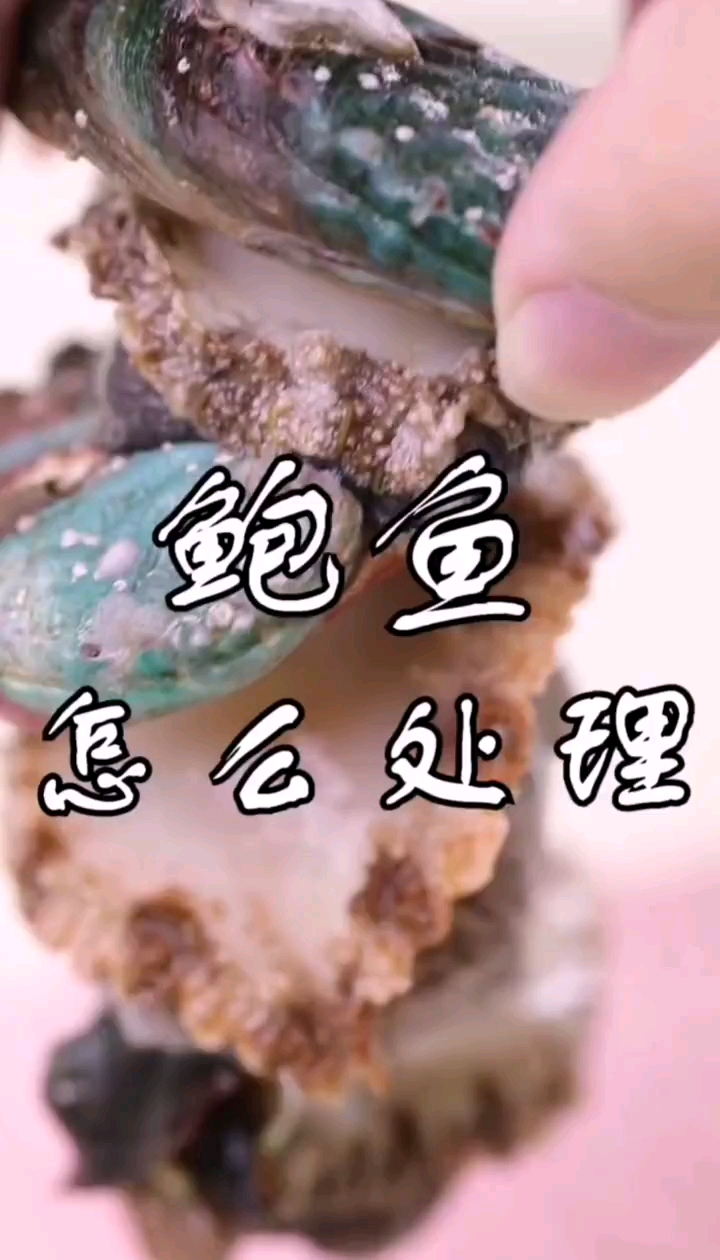 教你怎么处理鲍鱼。