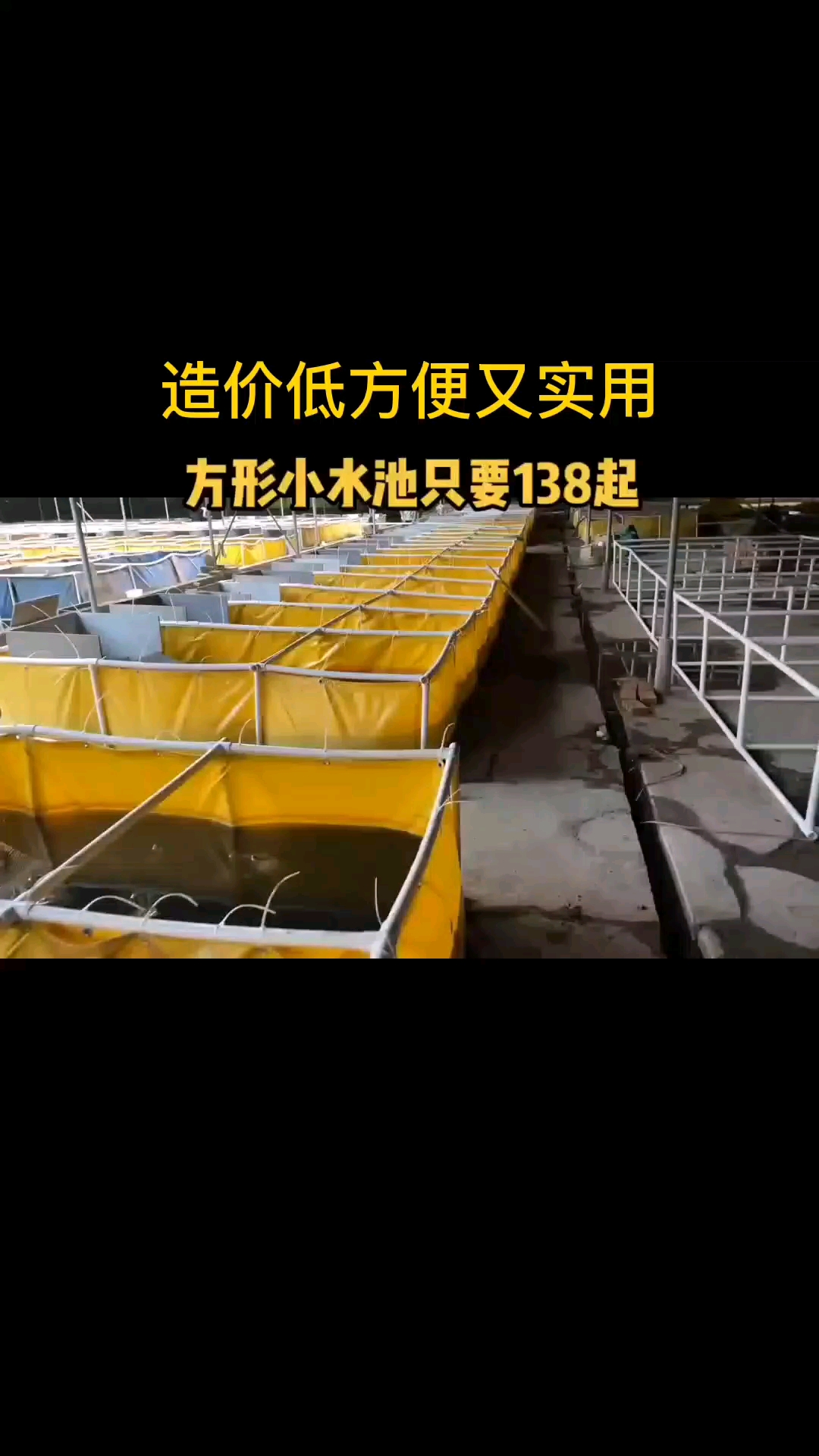 #养鱼#方形帆布池造价低实用!