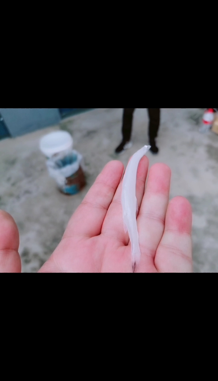 #美食#这就是山东临沂大煎饼的流行吃法,煎饼卷银鱼这才是绝配!