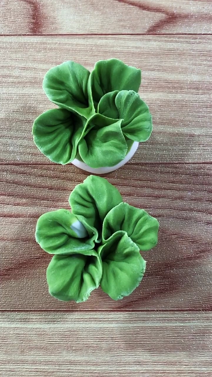 #自制美食#小油菜教程送给您