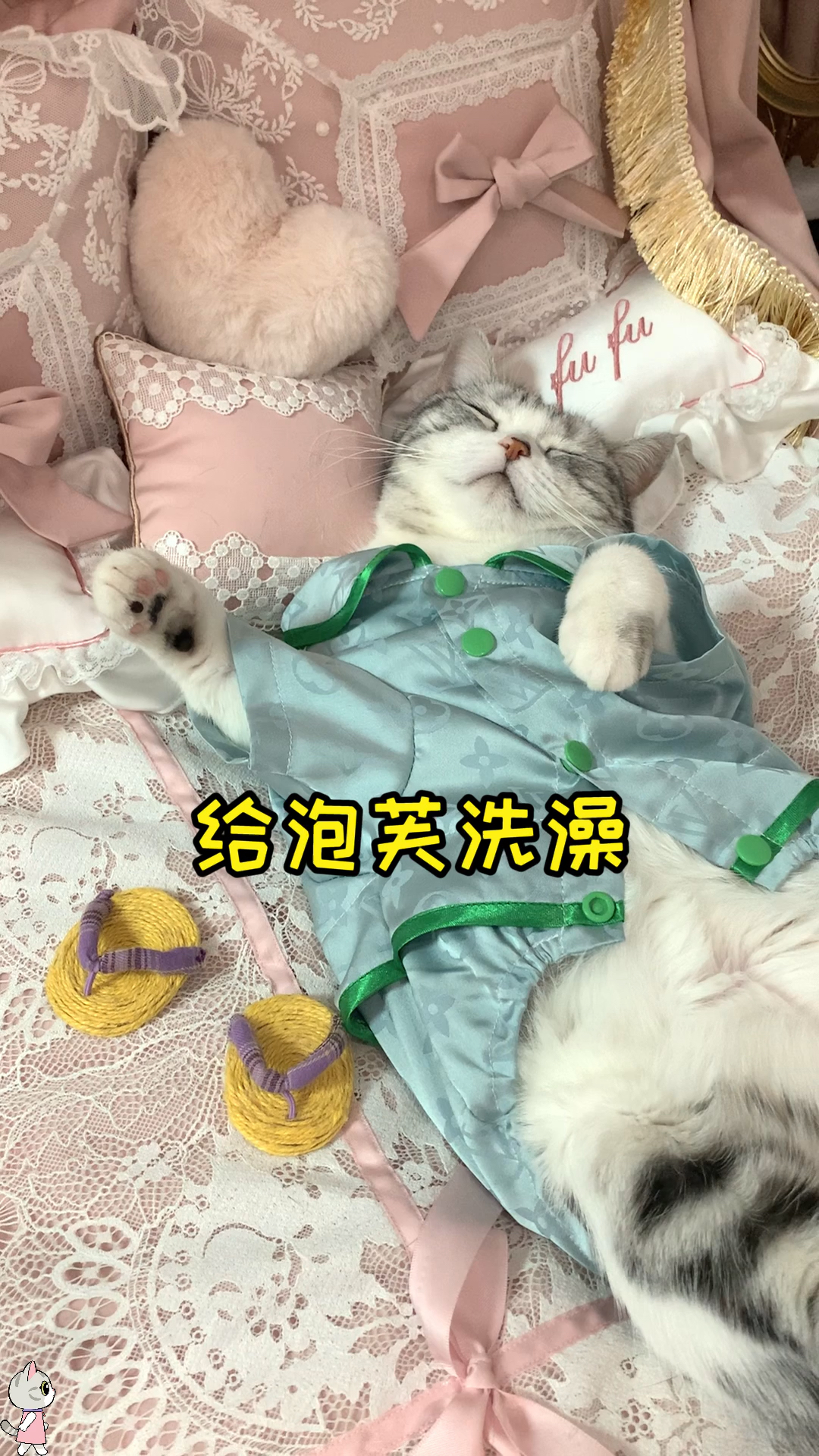 #猫咪日记#夏天到了泡芙该洗澡了给她安排了一套专属SPA