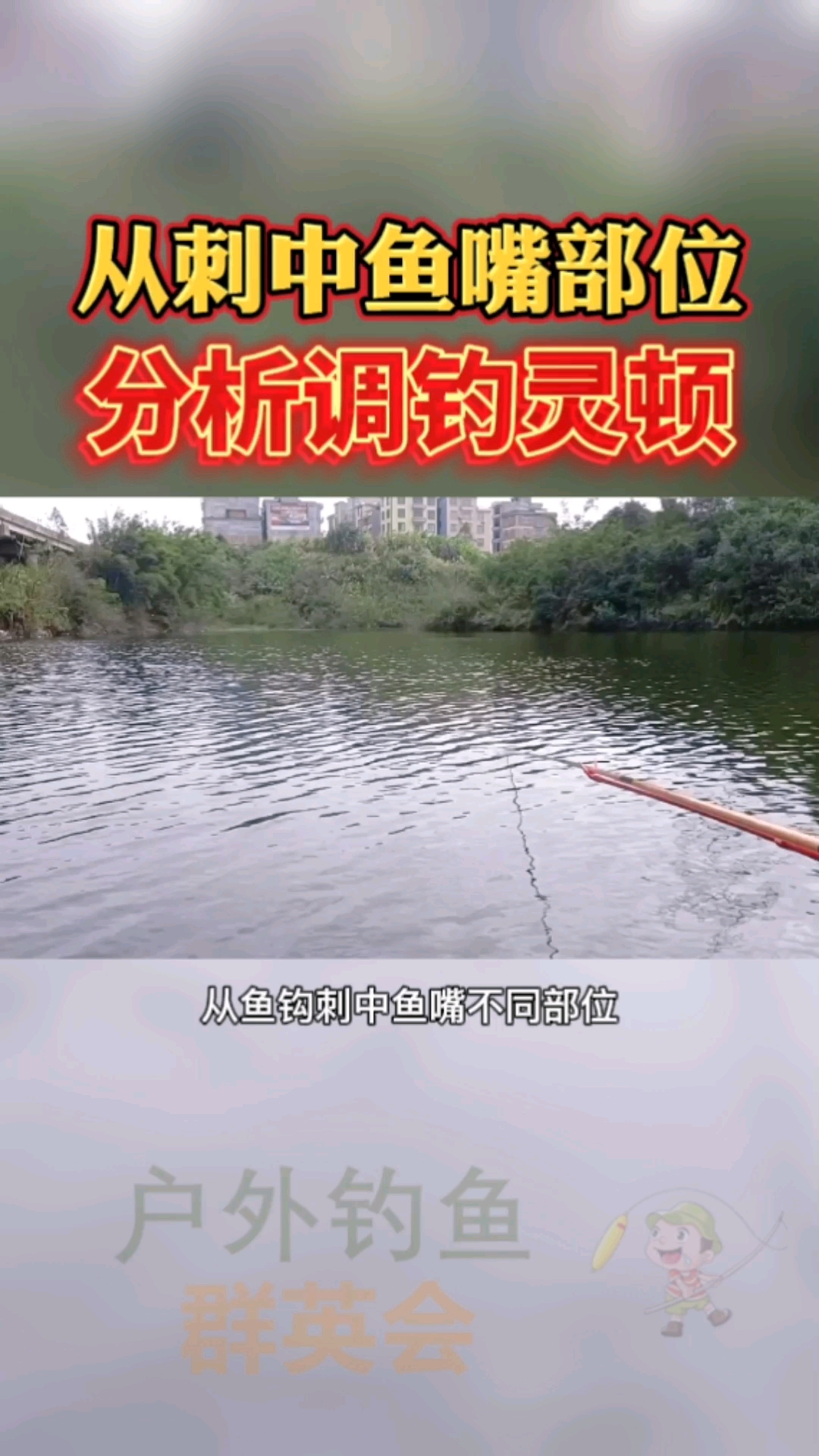 #钓鱼#从鱼钩刺中鱼嘴巴的不同部位,来分析调钓的灵顿