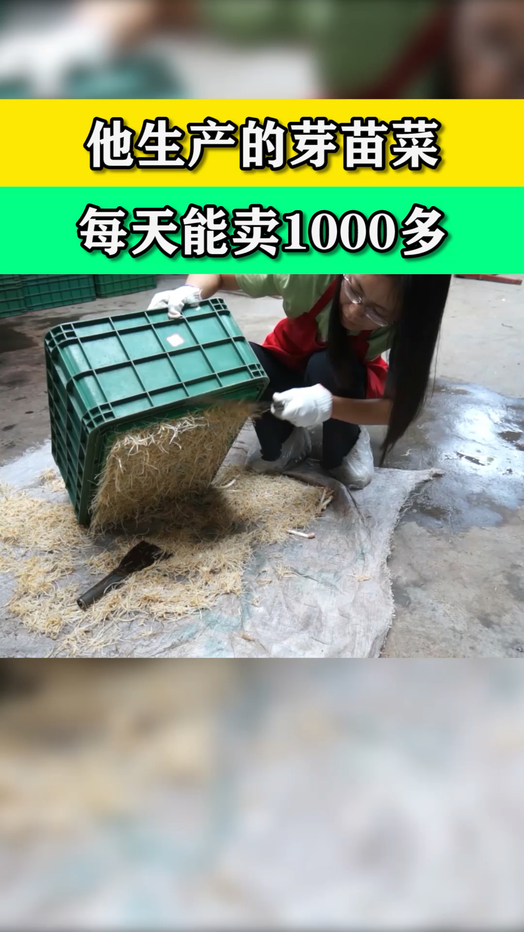 她生产的芽苗菜在当地这么有名?