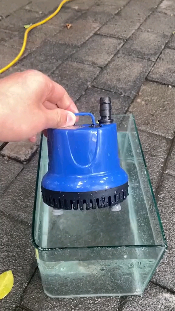 给家里的鱼缸换水用上这种潜水泵,方便又好用