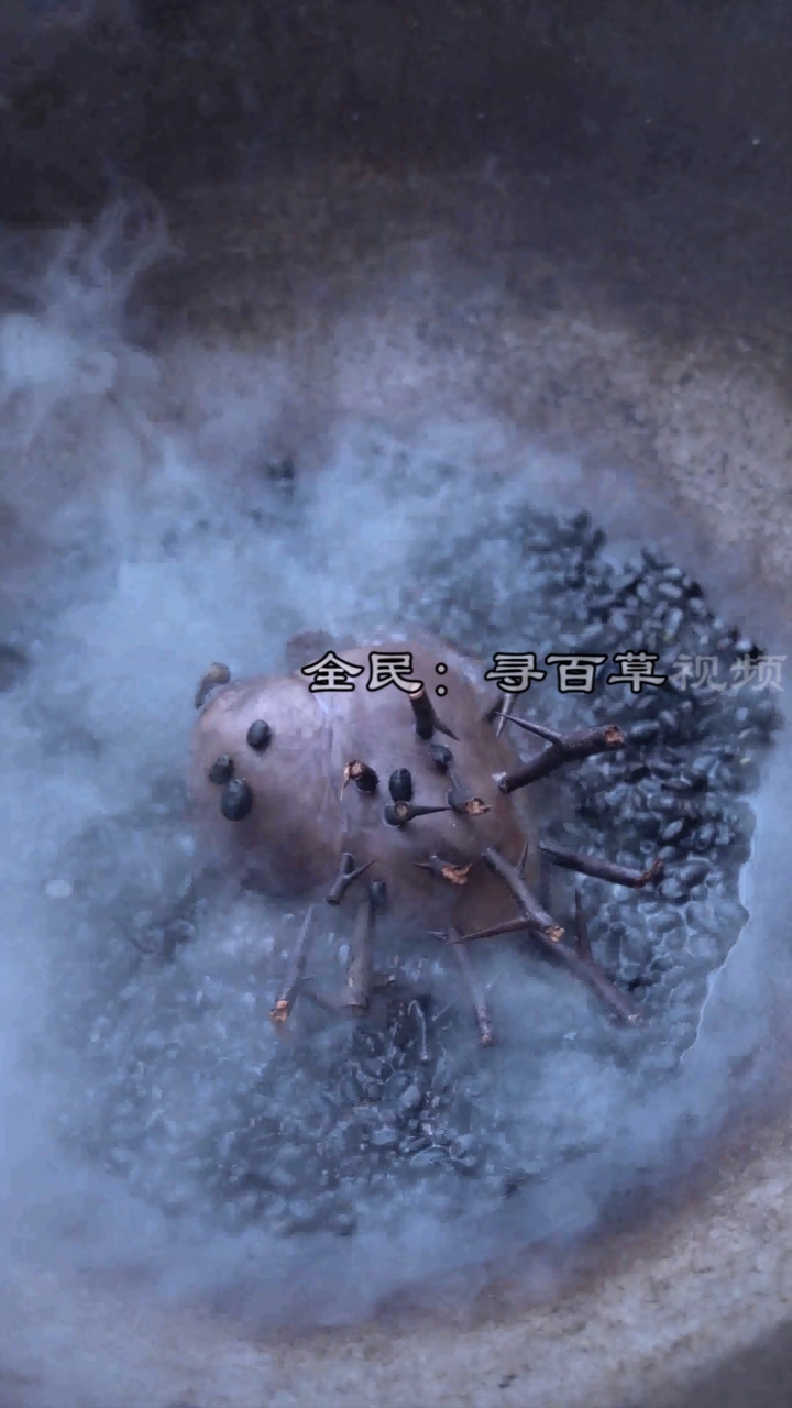 #乡村生活#一个每个月都要来几次的猪心黑豆汤,你知道有什么作用吗?