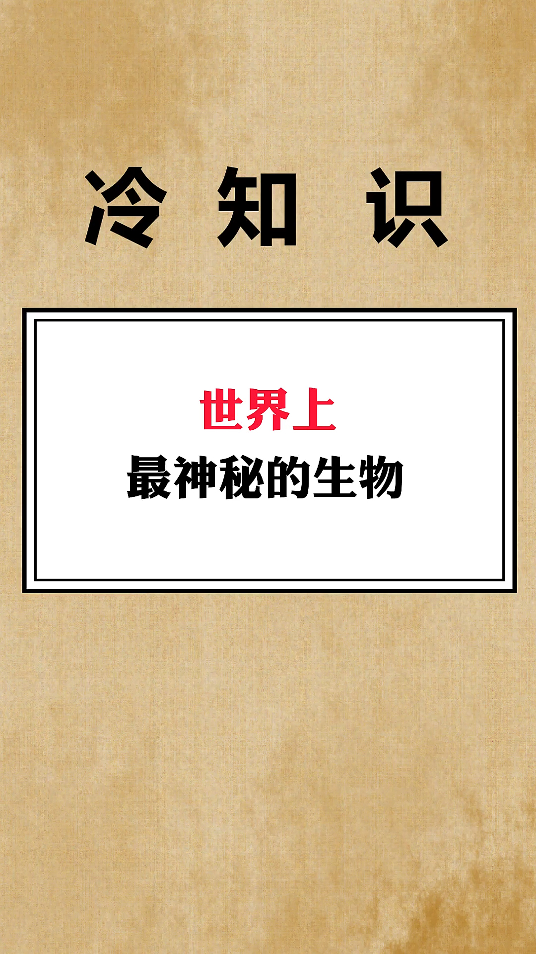#美人鱼#你相信美人鱼的存在吗♀