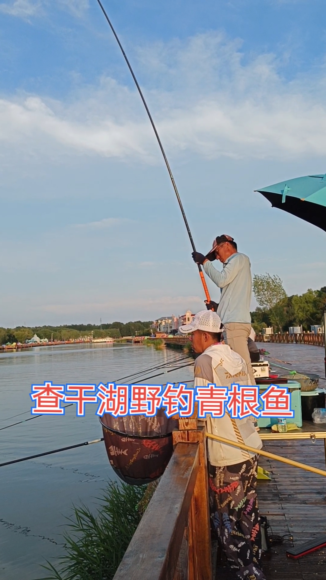 #户外钓鱼#查干湖野钓大青根鱼
