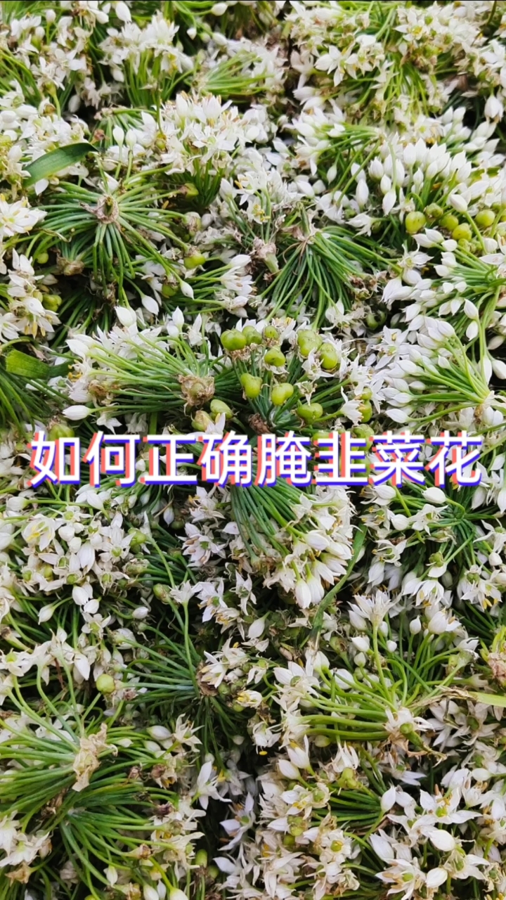 #创作有礼#腌韭菜花的制作方法,翠绿不变色,放一年不会坏!