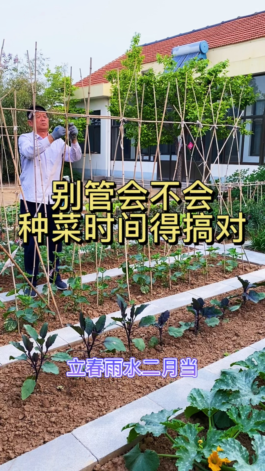 蔬菜时间种植表,值得收藏