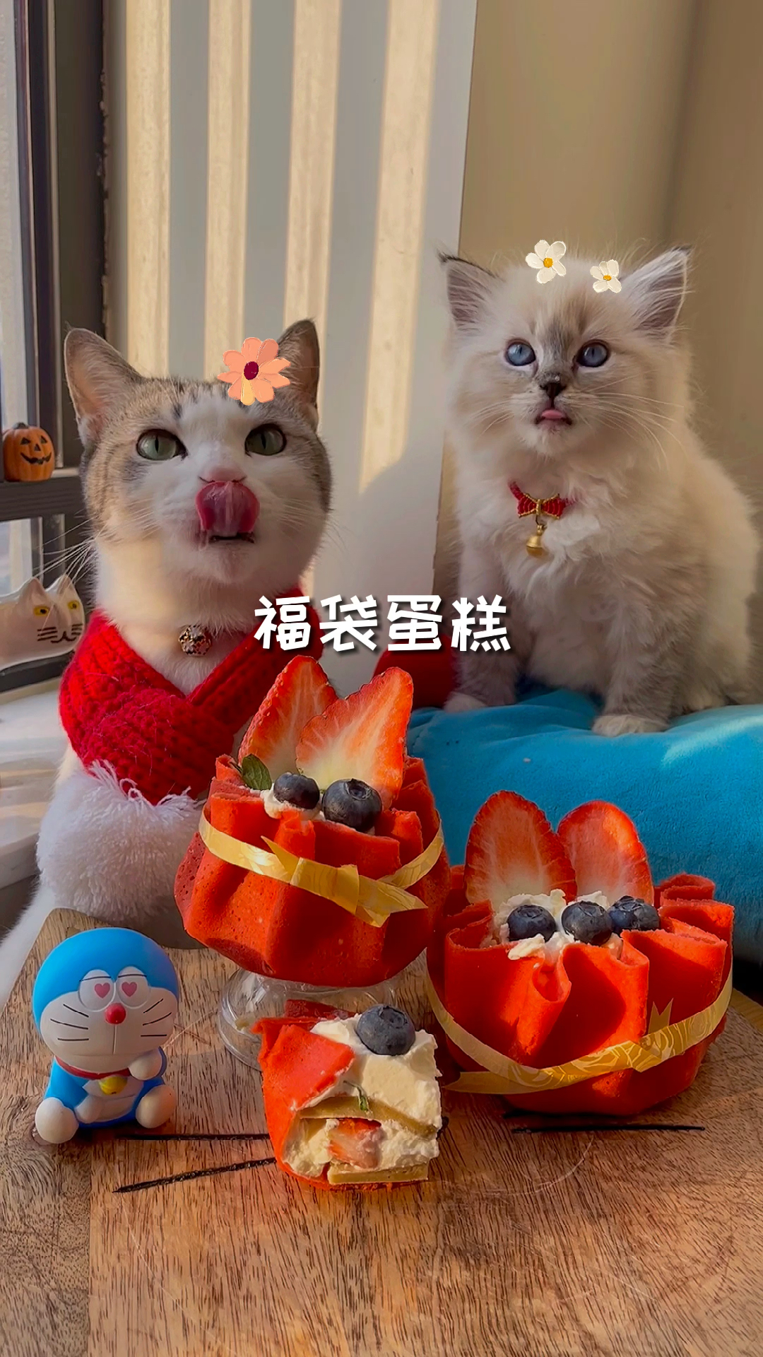 #我家萌宠成精了#吃不完的草莓不要扔，可以做福袋蛋糕哦
