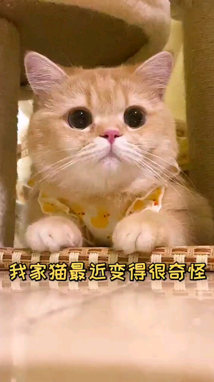 '''