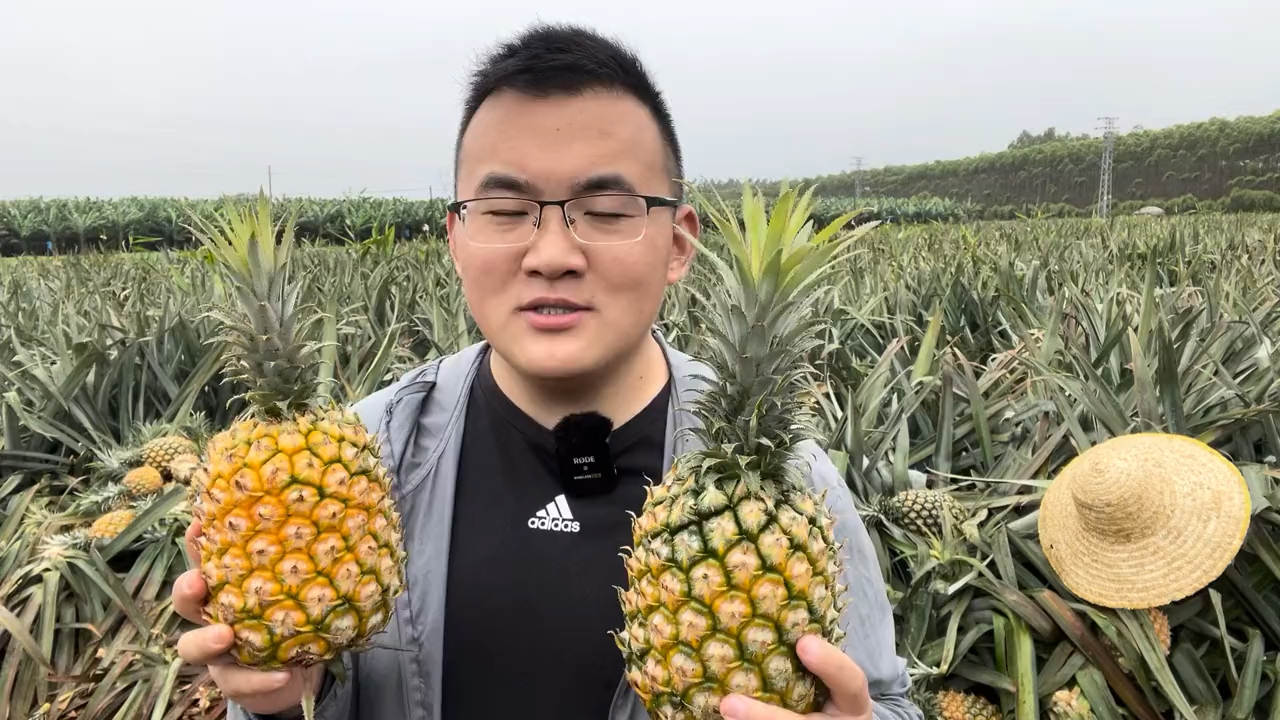 网上的方法多数都不对,普及一下最全最正确的挑菠萝方式,非常实用